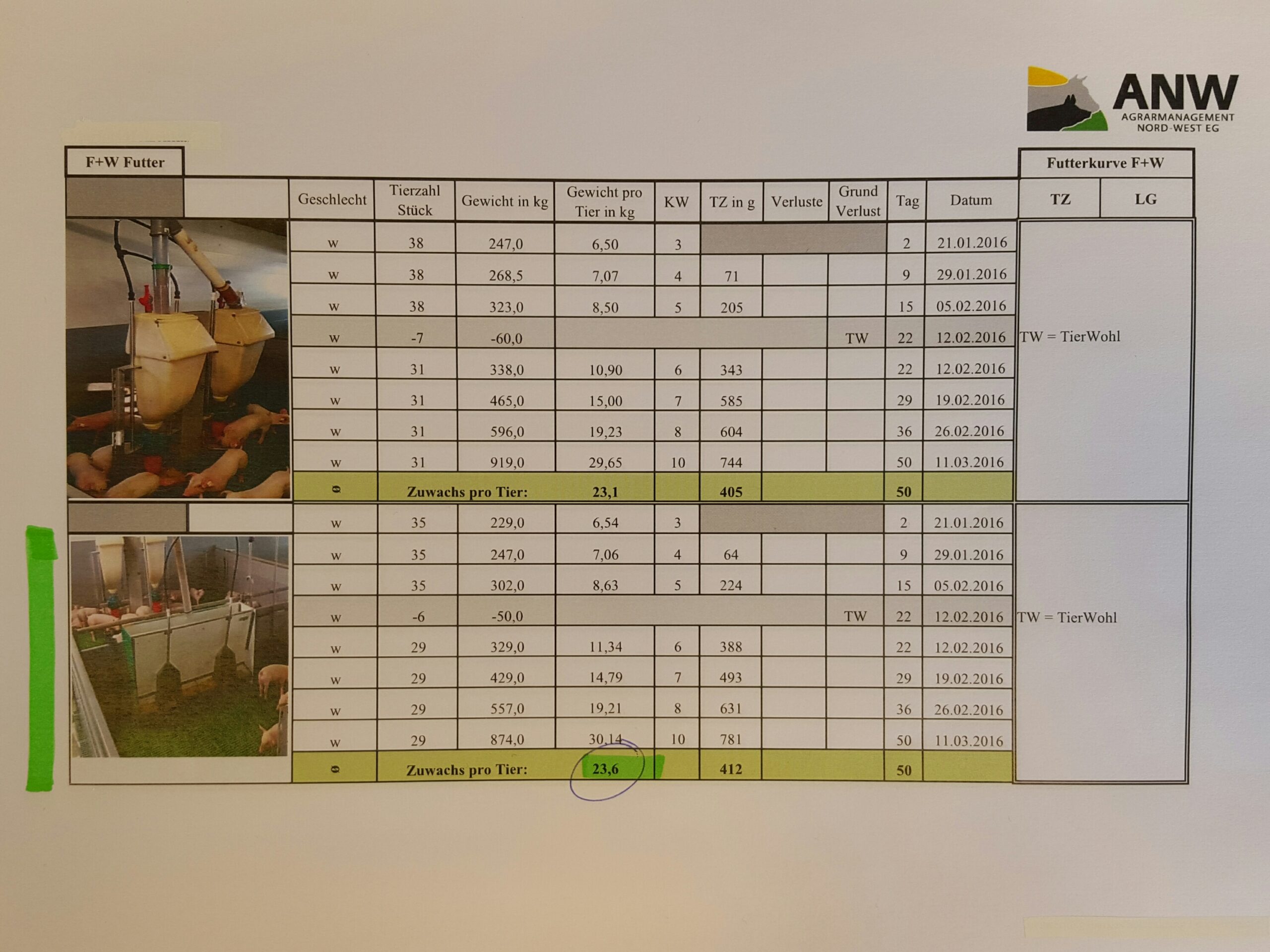Testergebnisse für Ferkel von Drowaco