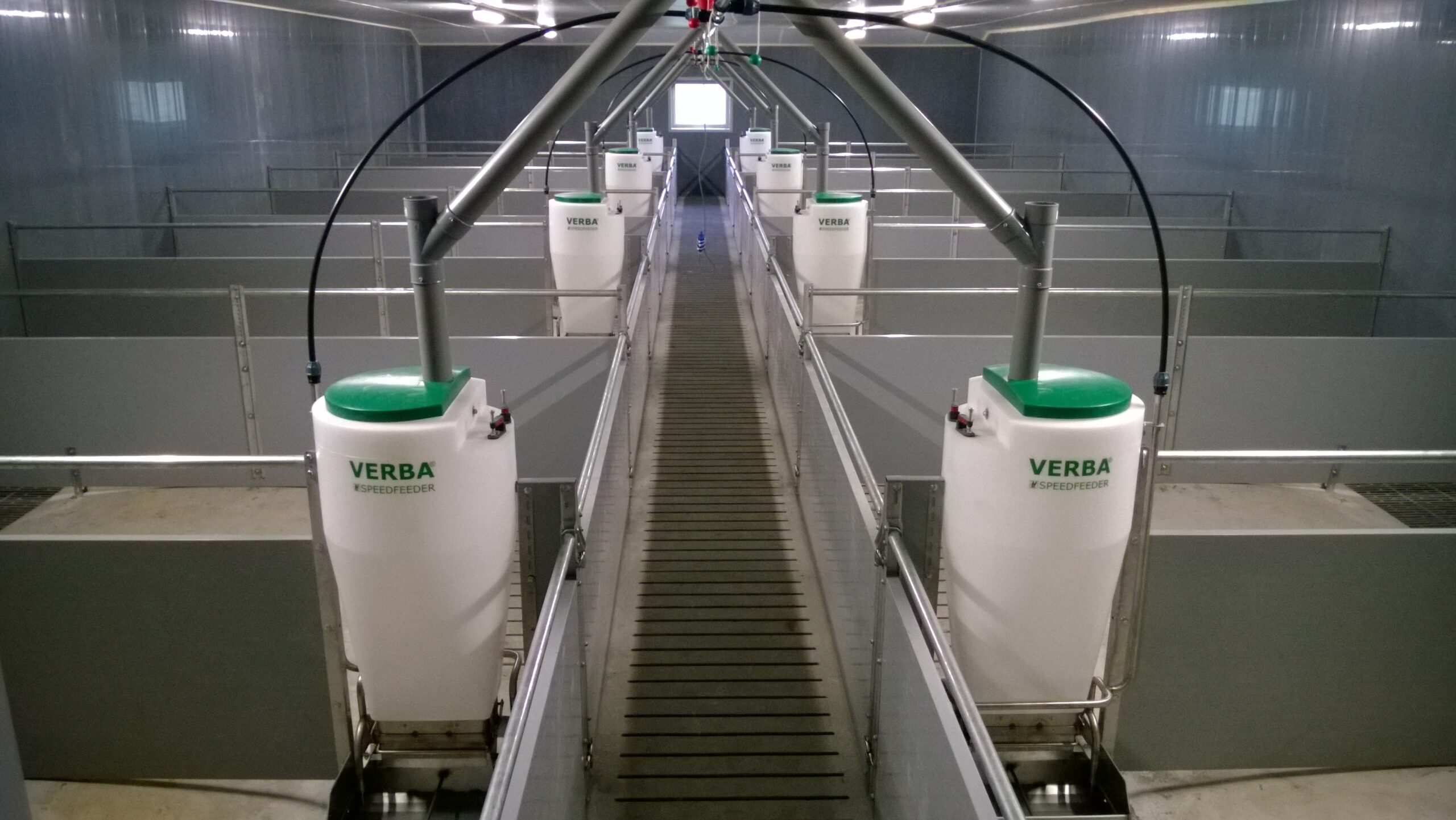 Speedfeeder 50 Futterautomaten