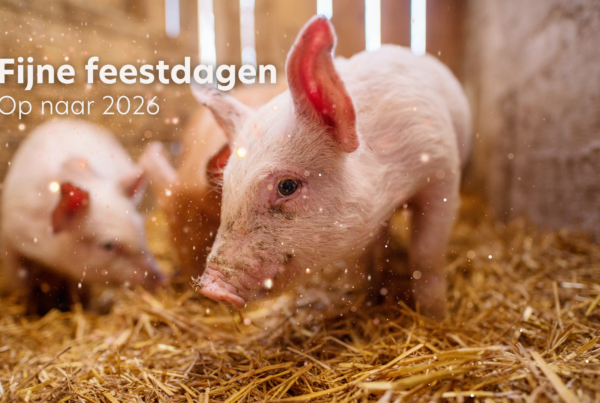 VERBA wünscht dir frohe Feiertage!